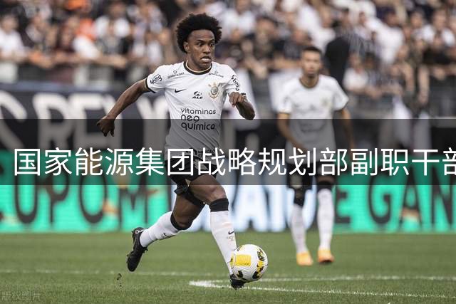 国家能源集团战略规划部副职干部翟文接受纪律审查