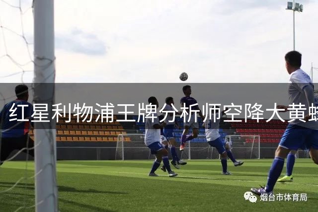 红星利物浦王牌分析师空降大黄蜂 强势加盟多特蒙德技术团队